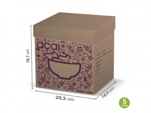 CAIXA DE AÇAÍ 5 LITROS - UNIDADE